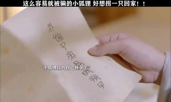 不是说狐狸都很聪明吗,怎么这只不太一样