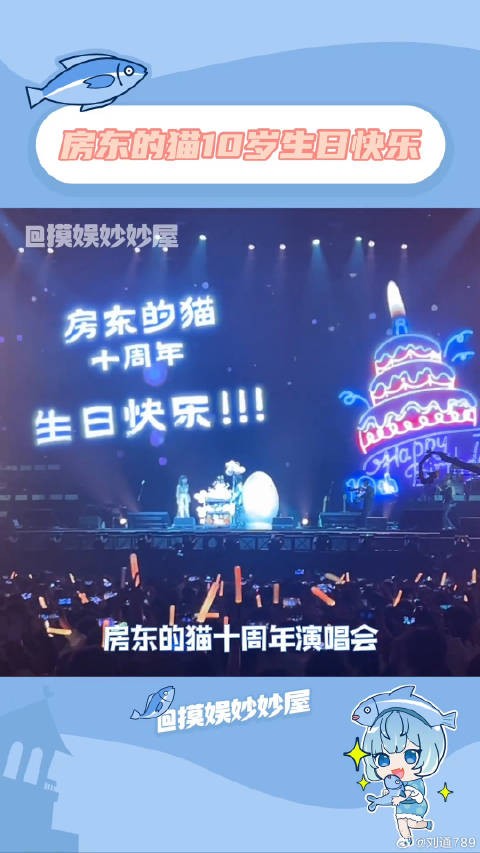房东的猫10岁生日快乐