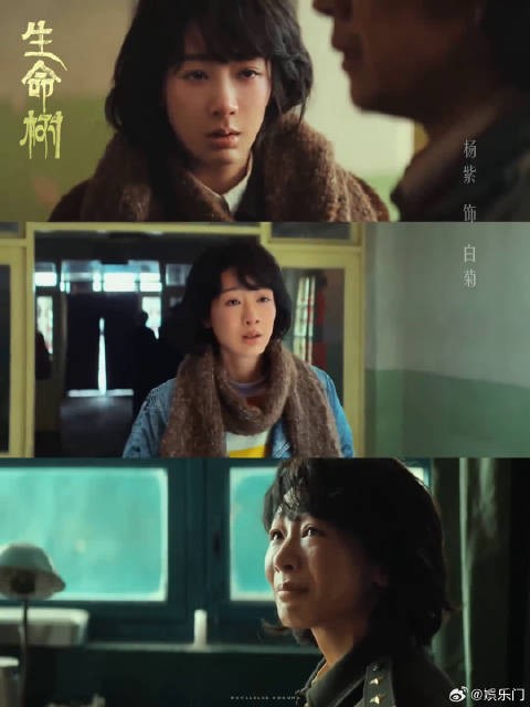 杨紫连续三年提名白玉兰视后,演技作品获肯定