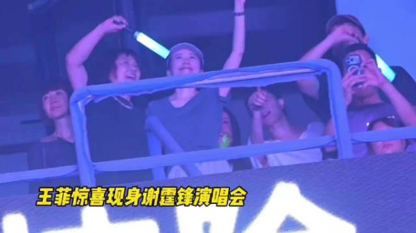 王菲现身谢霆锋演唱会无名指戴钻戒引关注