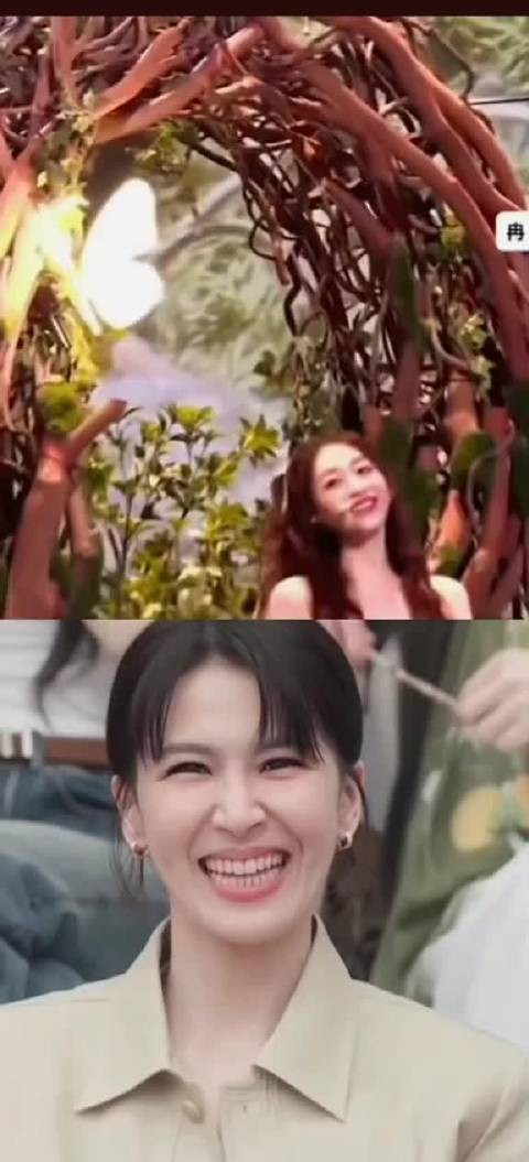 哈哈，曾佩慈都看出表情包来了姐姐们不会是来玩的吧？