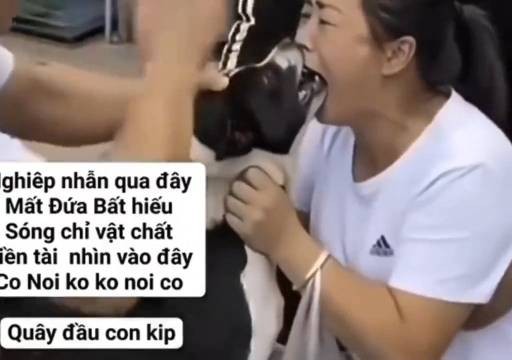 爱狗人士和狗亲嘴被死死的咬住，看了都感觉疼
