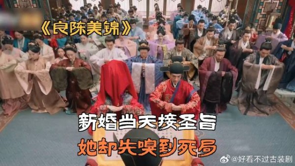 新婚当天接圣旨,她却先嗅到死局