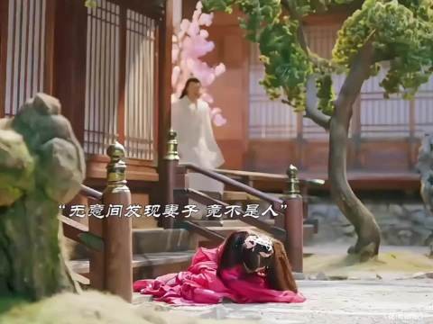 丈夫发现妻子身份异常,调查揭露惊人真相