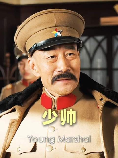杨宇霆:难道我的名字就是那道跨不过的门槛?