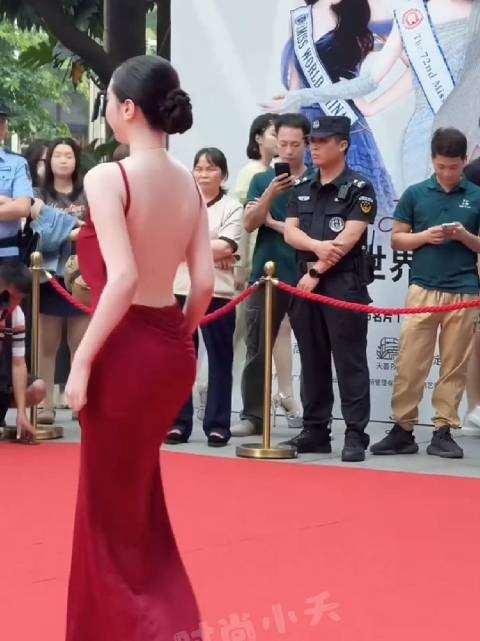 连子欣~2025全球中华小姐香港总冠军 她是靠背赢的？好富态的长相