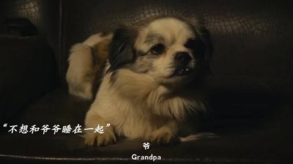 “爷爷只是心里放不下你”