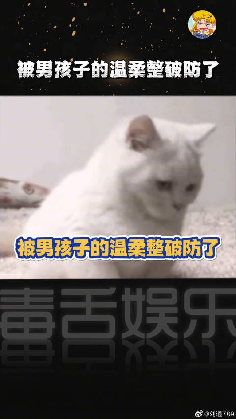 被男孩子的话温柔到了,愿每个女孩都能被温柔以待浦熠星