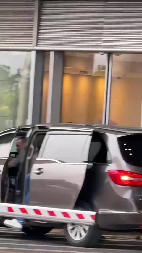 喜欢白鹿就支持她