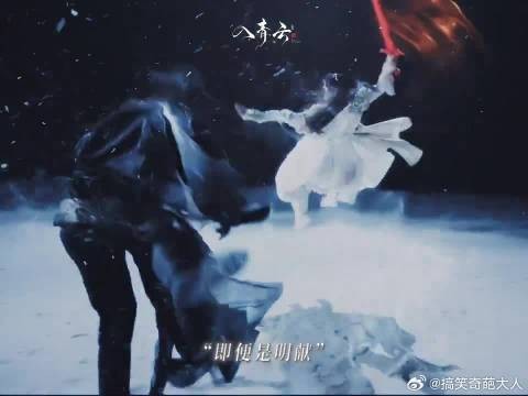 朝夕相伴,生死与共,是知己,是朋友