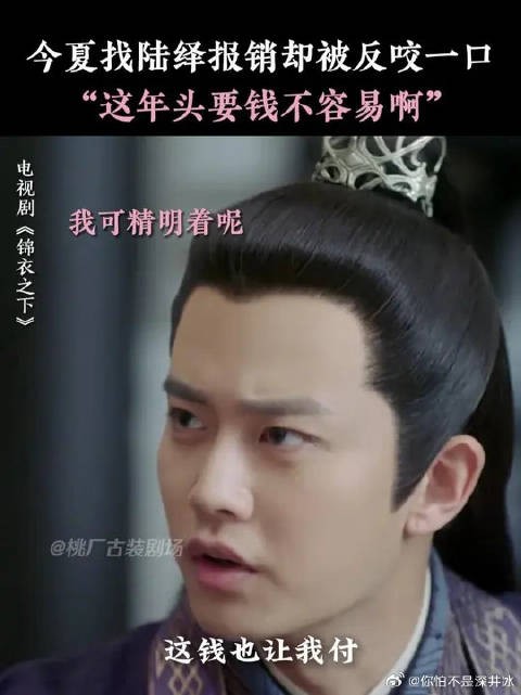 不得不说在报销银子方面,今夏你还是高估了陆绎