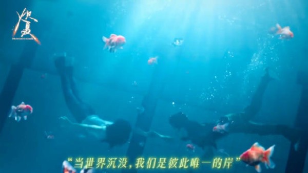 咱就是说炽夏你也太用心了吧,追剧团现场还挂了金鱼缸!