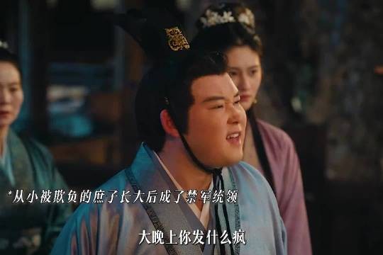 从小被欺负的庶子长大后成了禁军统领,曾经受过的不公让他们慢慢还!