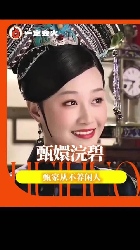 没有你们这些网友,这甄嬛传我是真看不明白 !