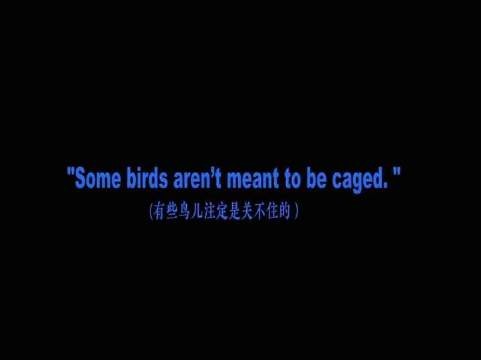 为不可预知的将来,岂能舍弃此刻的鲜活?