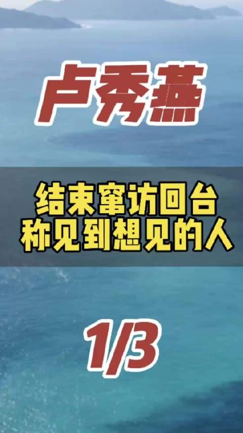 卢秀燕访欧会韦德齐鼓噪台独