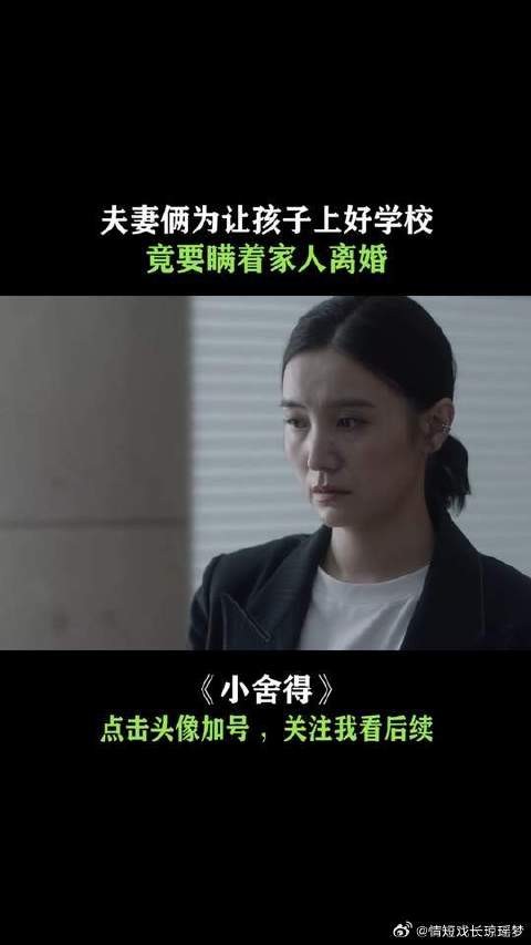 为让孩子上个好小学,南俪竟不惜离婚,真是可怜天下父母心啊