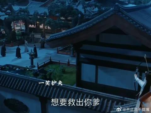 一笑凤随歌入宫救驾,夏静炎致夏静石误会戏阳