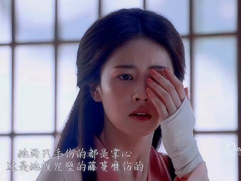 之一， 叶璃 丞磊 墨修尧 白鹿叶璃 莫离追剧讨论团
