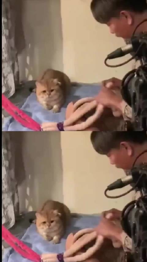 人，你是要带咪一起走吗？好，咪同意