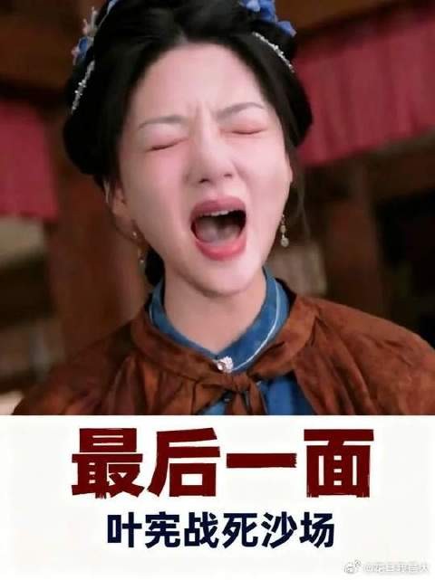 叶限意难平,最终战死沙场,顾锦朝崩溃大哭
