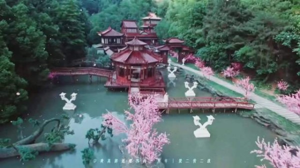 苗侨伟庆生粉丝混剪贺寿,新戏无惧引期待
