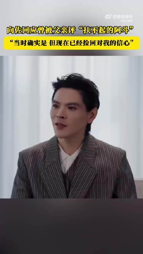 向佐回应曾被父亲评扶不起的阿斗