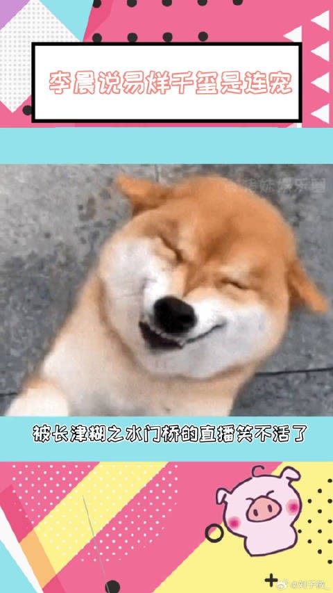 李晨说易烊千玺是连宠 笑不活了,这个连宠确实是精准拿捏了 微博VC计划