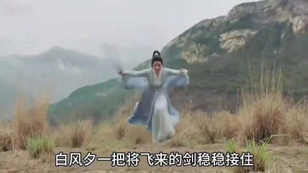 《且试天下》 白风夕与冀洲皇子相遇的高燃打戏