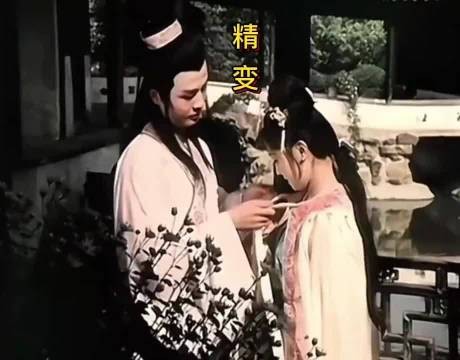 丫鬟一句话吓疯全家,结局却让人笑出猪叫