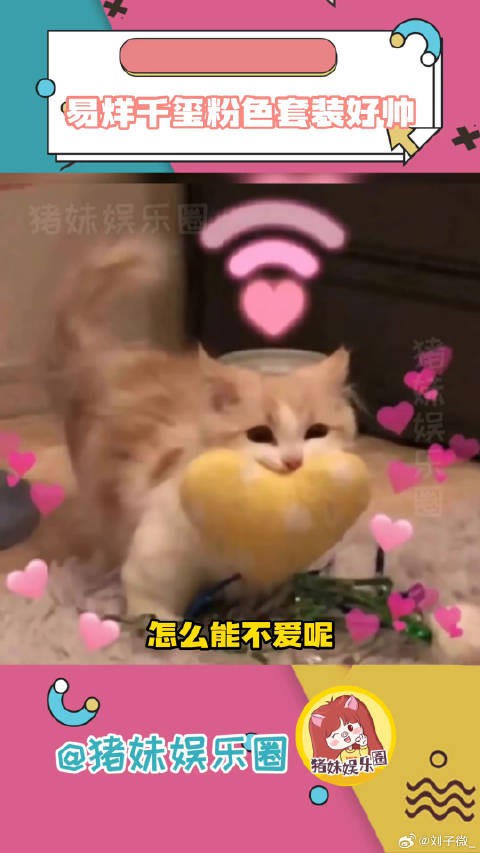 Pink千玺真的好爱!tfboys十年之约