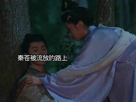 秦苍被发放去了黔川,林听澜陪同而去 电视剧莫离