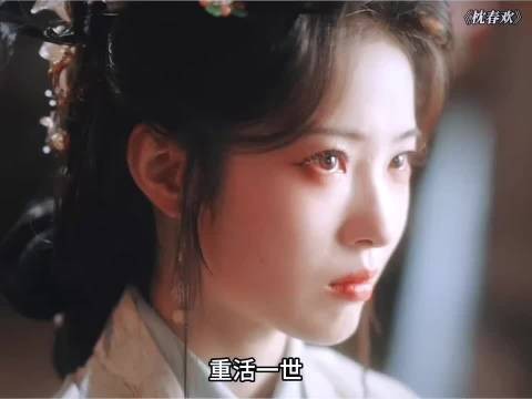 重生后媚帝诛渣,不负余生
