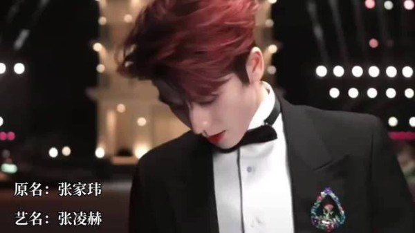 丁禹兮宋祖儿原名曝光,分别为丁舟杰孙凡清