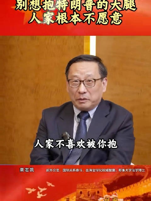 高志凯教授喊话高市:你要懂礼貌,人家根本不愿意被你抱大腿