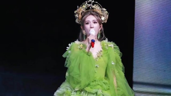谢娜开演唱会引争议,网友质疑娱乐圈标准