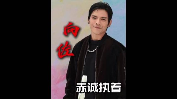 向太回应斥资五亿未捧红向佐