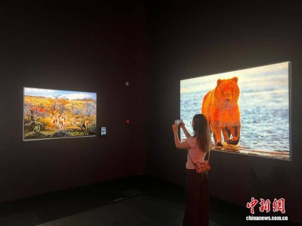北京最大个人摄影艺术馆将于2028年底亮相顺义