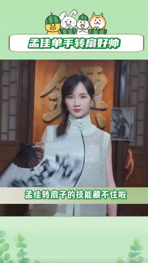 孟佳 微博VC计划