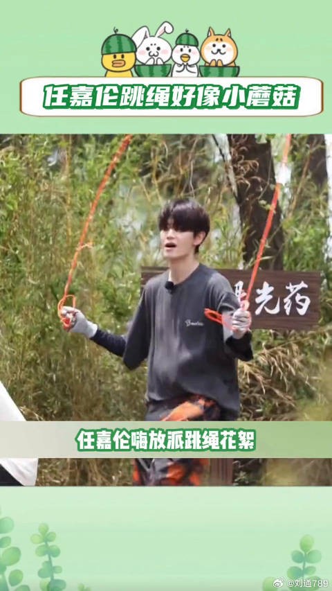 任嘉伦 微博VC计划
