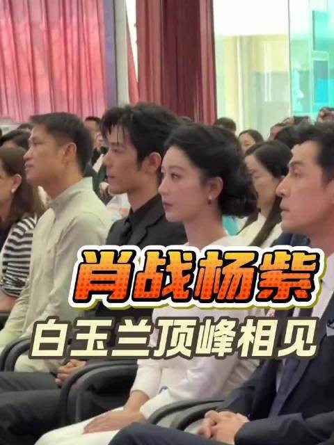 肖兔崽紫，昔年同笑语，今日两参差，人还是那个故人，相处再也回不到从前