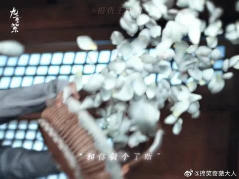 我们窦昭想要什么就必须搞到手