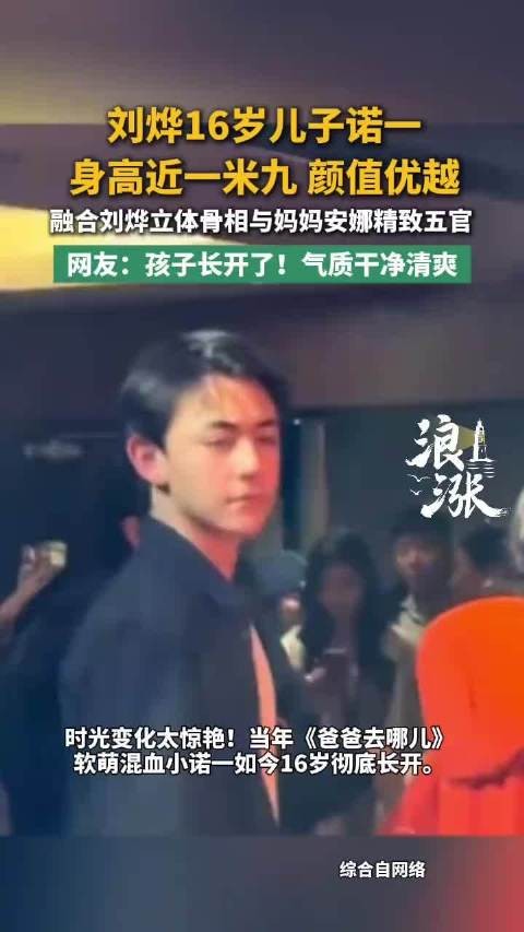刘烨16岁儿子诺一五官长开，混血轮廓凸显少年感
