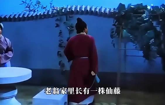老翁家里长有一株仙藤，竟长出一个白白胖胖的小孩！