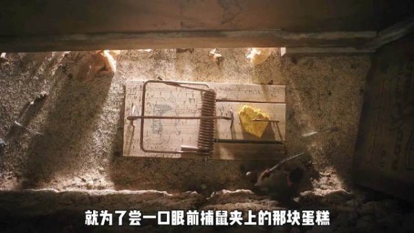 缩小了一万倍的男人，竟遇上了吃人的蜘蛛！