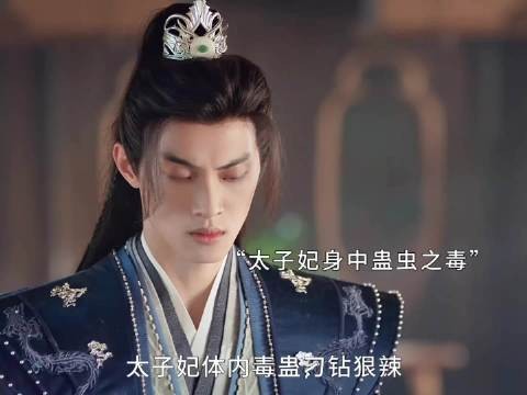 为了你舍弃生命又如何，以后的路不能陪你走了