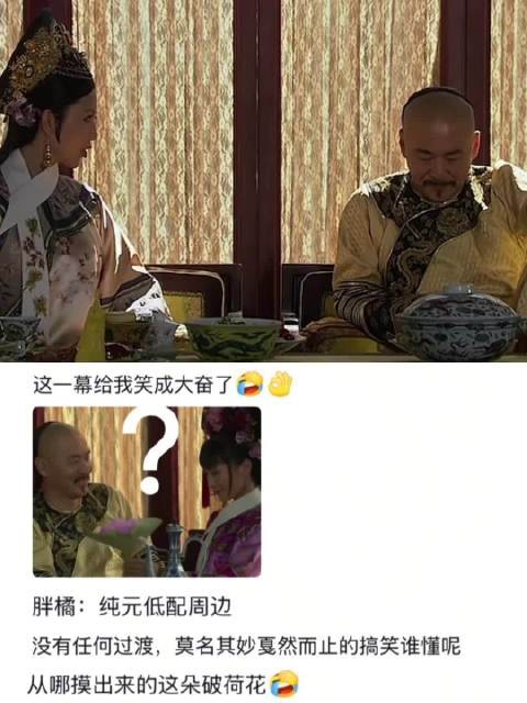 谁来懂一下甄嬛传中胖橘这一段的反差