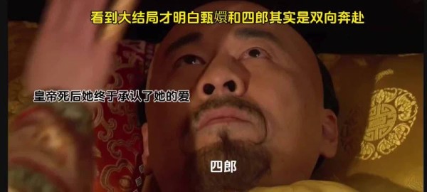 甄嬛传中皇帝自认唯爱纯元，甄嬛对皇帝心怀怨恨