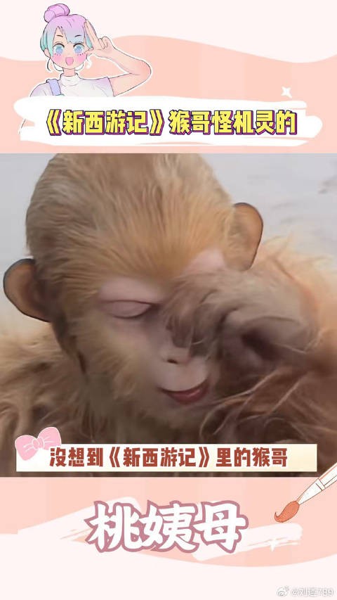 猴哥：这次我重生了，看了86版西游记知晓了我的命运！搞笑 二郎神