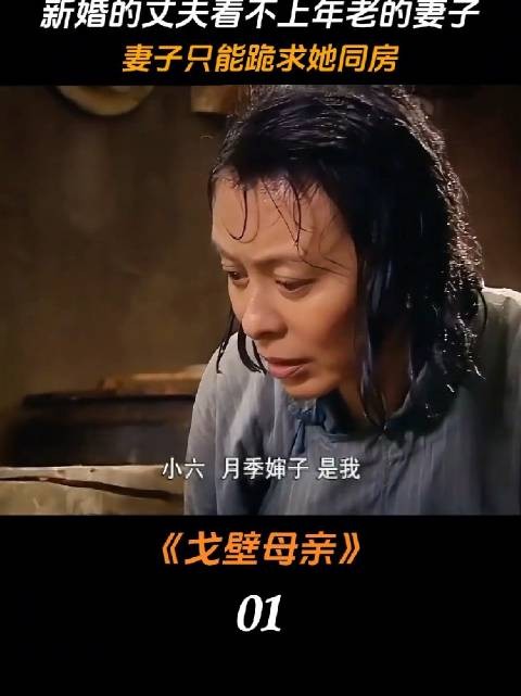 新婚的丈夫看不上年老的妻子 妻子只能跪求同房